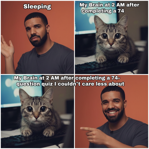 When You Finally Finish a 74-Question Quiz at 2 AM